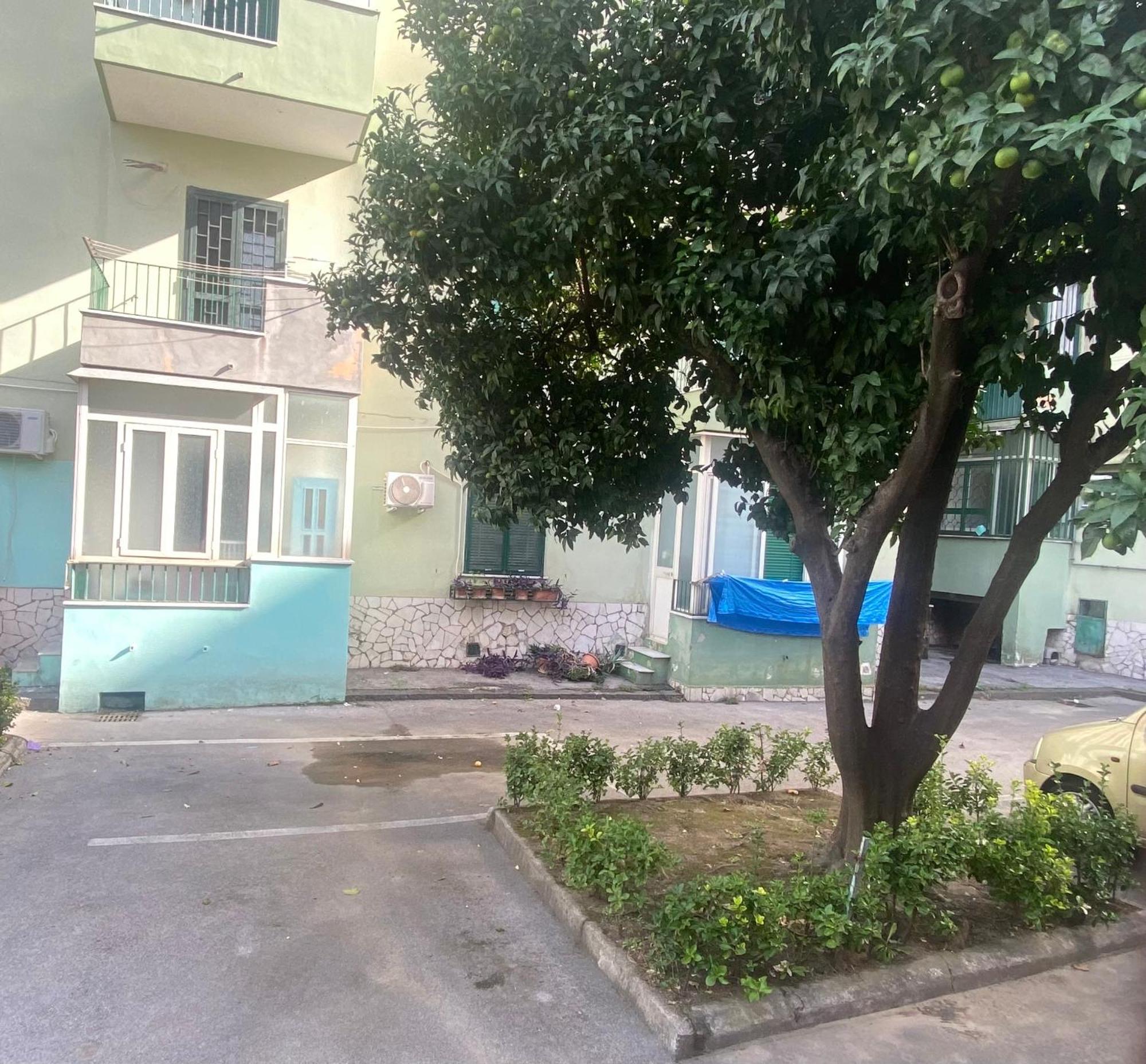 Apartment Stadium House *